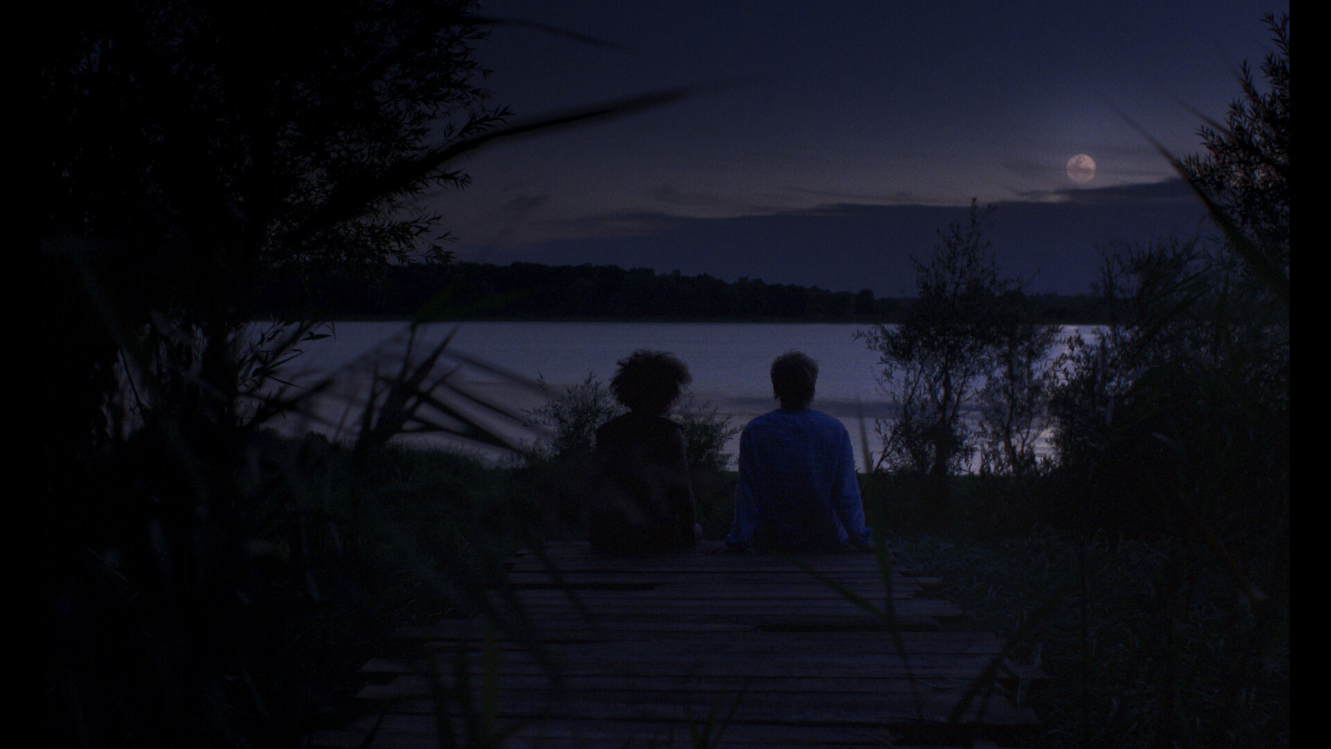 Cortometrajes seleccionados en el 31 QueerCineMad